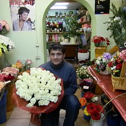 ���� �����, ���������� - ��������� 29 ������ 2011