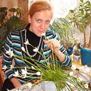 ���� ���, ��������, 42 ���� - ��������� 5 ������� 2011 � ������ ���� ����������