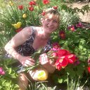 ���� ��������, ���������, 55 ��� - ��������� 17 ��� 2011 � ������ ���� ����������