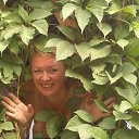 ���� ��������, ����������, 58 ��� - ��������� 17 ������� 2012 � ������ ���� ����������