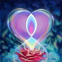 ������ �� ������� �������