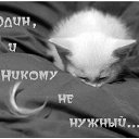 ���� ����, ����������, 58 ��� - ��������� 19 ������ 2013