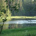 ���� ����, �����-���������, 61 ��� - ��������� 16 ���� 2009 � ������ �������