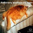 ���� ������, ����������, 40 ��� - ��������� 25 ����� 2010 � ������ �����������