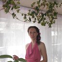 ���� �����, ��������, 40 ��� - ��������� 1 ���� 2013 � ������ ���� ����������