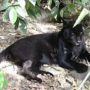 ���� ������, ������, 47 ��� - ��������� 7 ������ 2012 � ������ ���� ����������