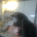�������� �� ������� ����� ����� ��� �����