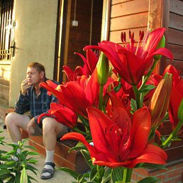 ��������, 62 ����, ��������