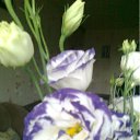 ���� ����, ��������, 49 ��� - ��������� 4 ���� 2011 � ������ �RoadKing�