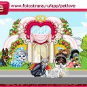 ���� �������, ������, 47 ��� - ��������� 7 ������� 2010 � ������ �PetLove�