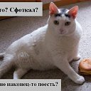 ���� �����, ��������, 37 ��� - ��������� 28 ��� 2010