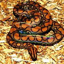 ���� ������, ������� - ��������� 20 ������� 2012 � ������ ������ ��������