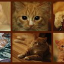 ����� ��������)) �� ������� ����� ��� ������������