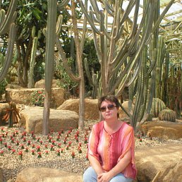 ���� �����, ������, 63 ���� - ��������� 4 ������� 2011