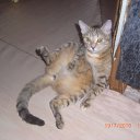 ���� �����, ������������, 50 ��� - ��������� 5 �������� 2010 � ������ �2010�