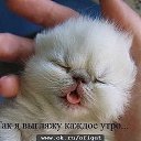 ���� �������, ��������� - ��������� 7 ������� 2013 � ������ �������