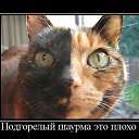 ���� ������������������������������������������������������������������, ��������, 39 ��� - ��������� 2 ���� 2010 � ������ ����ݻ