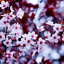 ���� ������, ������, 22 ���� - ��������� 5 ��� 2012 � ������ �������