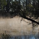 ���� ������, ������, 63 ���� - ��������� 16 ���� 2010 � ������ ��������. �����