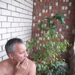 ������, �����-���������, 65 ���