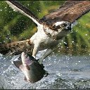 ���� ���������, ������, 56 ��� - ��������� 21 ������� 2012 � ������ ������