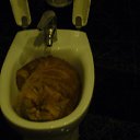 ���� ��, ����, 55 ��� - ��������� 23 ������� 2012