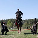 ���� �������, �����-���������, 49 ��� - ��������� 5 ������� 2012