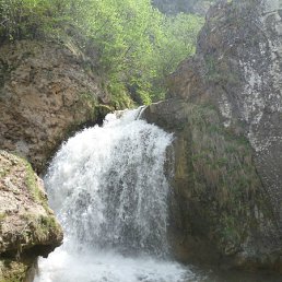 ���� ��������, ������������ - ��������� 1 ��� 2012