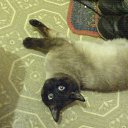 �� ������� ��� � �� ����� ����� �� ������� ���� ���