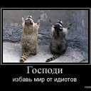 ���� ���������, ������������, 44 ���� - ��������� 3 ������� 2012 � ������ ���� ����������