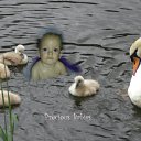 ���� �����, ������� ����, 29 ��� - ��������� 10 �������� 2010 � ������ ���� ����������