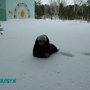 ���� �����, ����, 66 ��� - ��������� 25 ����� 2013 � ������ ���� ����������