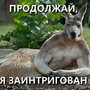 ���� ��������, ����������, 44 ���� - ��������� 14 ���� 2013 � ������ ������ ��������