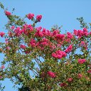 ���� ������, �������, 56 ��� - ��������� 22 ������� 2010 � ������ ��� ����