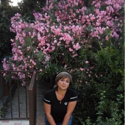 ���� �����, ���� - ��������� 20 ���� 2012