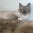 ���� �����, ������, 42 ���� - ��������� 25 ������ 2011 � ������ ���� ����������