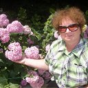 ���� ���������, ���, 65 ��� - ��������� 23 ������� 2011 � ������ ���� ����������