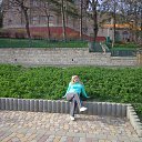 �������� ������ ���� ������, ��������� 2013� �� ������� ���� ����������