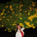 ���� �����, ������, 50 ��� - ��������� 12 ������ 2013