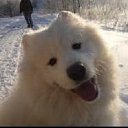 ���� �����, ��������, 59 ��� - ��������� 30 ����� 2013 � ������ ���� ����������