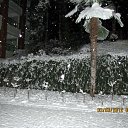 ���� Aik, �������, 67 ��� - ��������� 4 ����� 2012 � ������ ������.����.������
