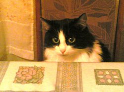 ���� �����, ������ - ��������� 21 �������� 2011