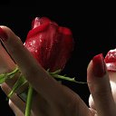 ���� ������, ��������, 47 ��� - ��������� 15 ������� 2013 � ������ ���� ����������