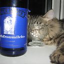 ���� �������, ��������, 37 ��� - ��������� 13 ����� 2010 � ������ ������