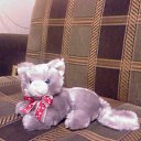 ���� ������� �����, ����������� - ��������� 19 �������� 2010 � ������ �������