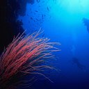 ���� ���������, ����, 54 ���� - ��������� 9 ������ 2011 � ������ ���� ����������