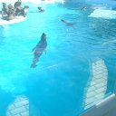 ���� ����, ������, 42 ���� - ��������� 10 ������� 2010 � ������ ���� �������