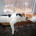 ���� �������, �����-��������� - ��������� 18 ������� 2010