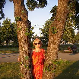 �����, ���������