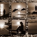  (  ),  , 54  -  9  2010   